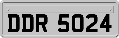 DDR5024