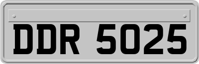DDR5025