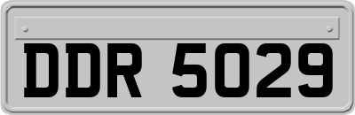 DDR5029