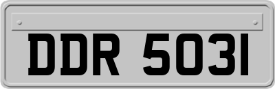 DDR5031