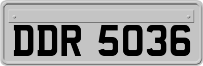 DDR5036