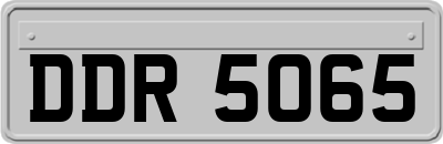 DDR5065