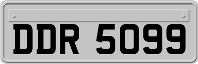 DDR5099