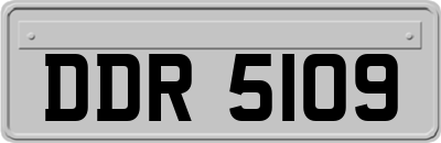 DDR5109