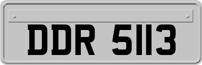 DDR5113