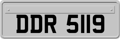 DDR5119