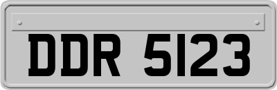 DDR5123