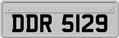 DDR5129