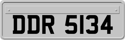 DDR5134