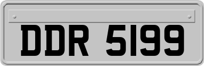 DDR5199