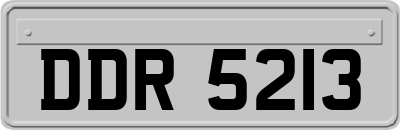 DDR5213