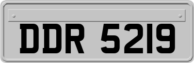 DDR5219