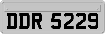 DDR5229