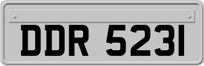 DDR5231