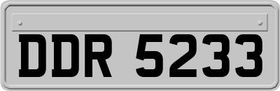 DDR5233