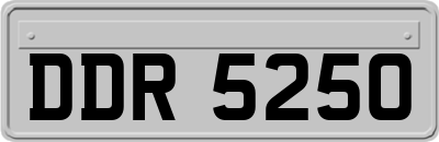 DDR5250