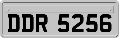DDR5256