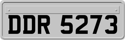 DDR5273