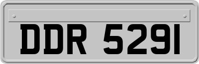 DDR5291
