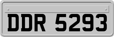 DDR5293