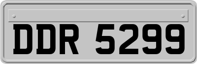 DDR5299