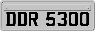 DDR5300