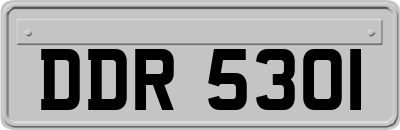 DDR5301