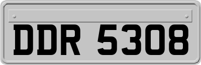 DDR5308