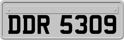 DDR5309