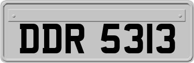 DDR5313