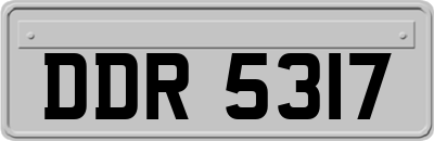 DDR5317