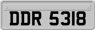 DDR5318