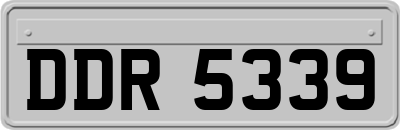 DDR5339