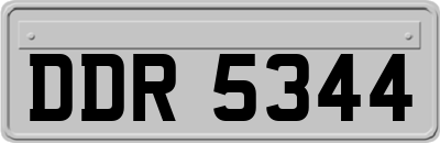 DDR5344
