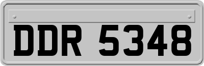 DDR5348
