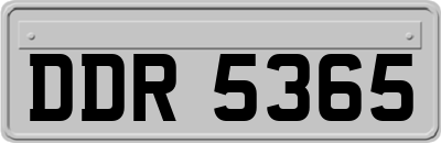DDR5365