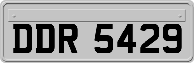 DDR5429