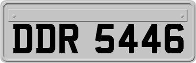 DDR5446