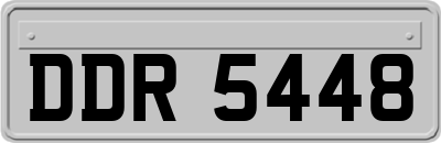 DDR5448