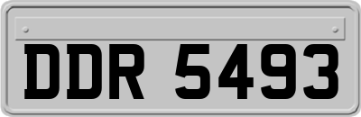 DDR5493