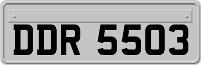 DDR5503