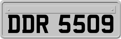 DDR5509