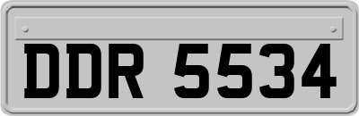 DDR5534