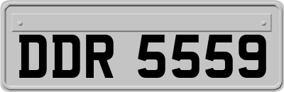 DDR5559