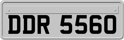 DDR5560
