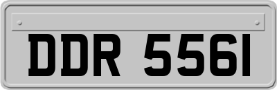 DDR5561