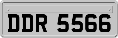 DDR5566