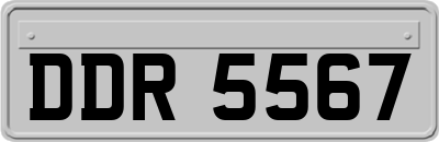 DDR5567