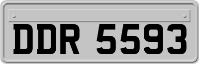 DDR5593