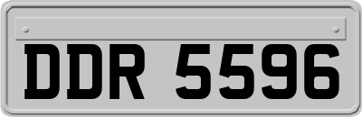 DDR5596